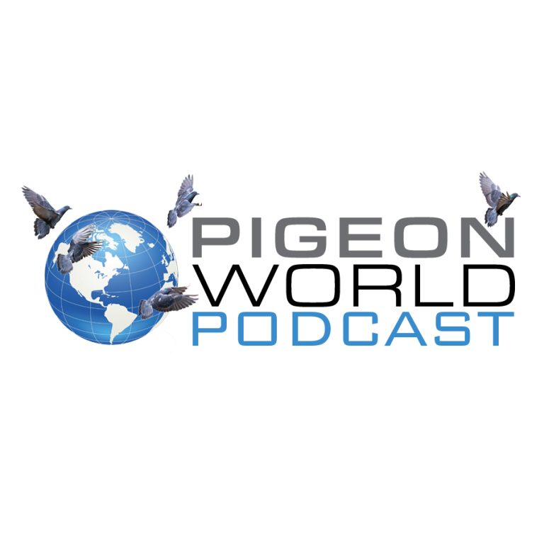 Racing Pigeon International to the new era of Racing Pigeons